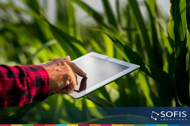 Persona con una tableta en la mano